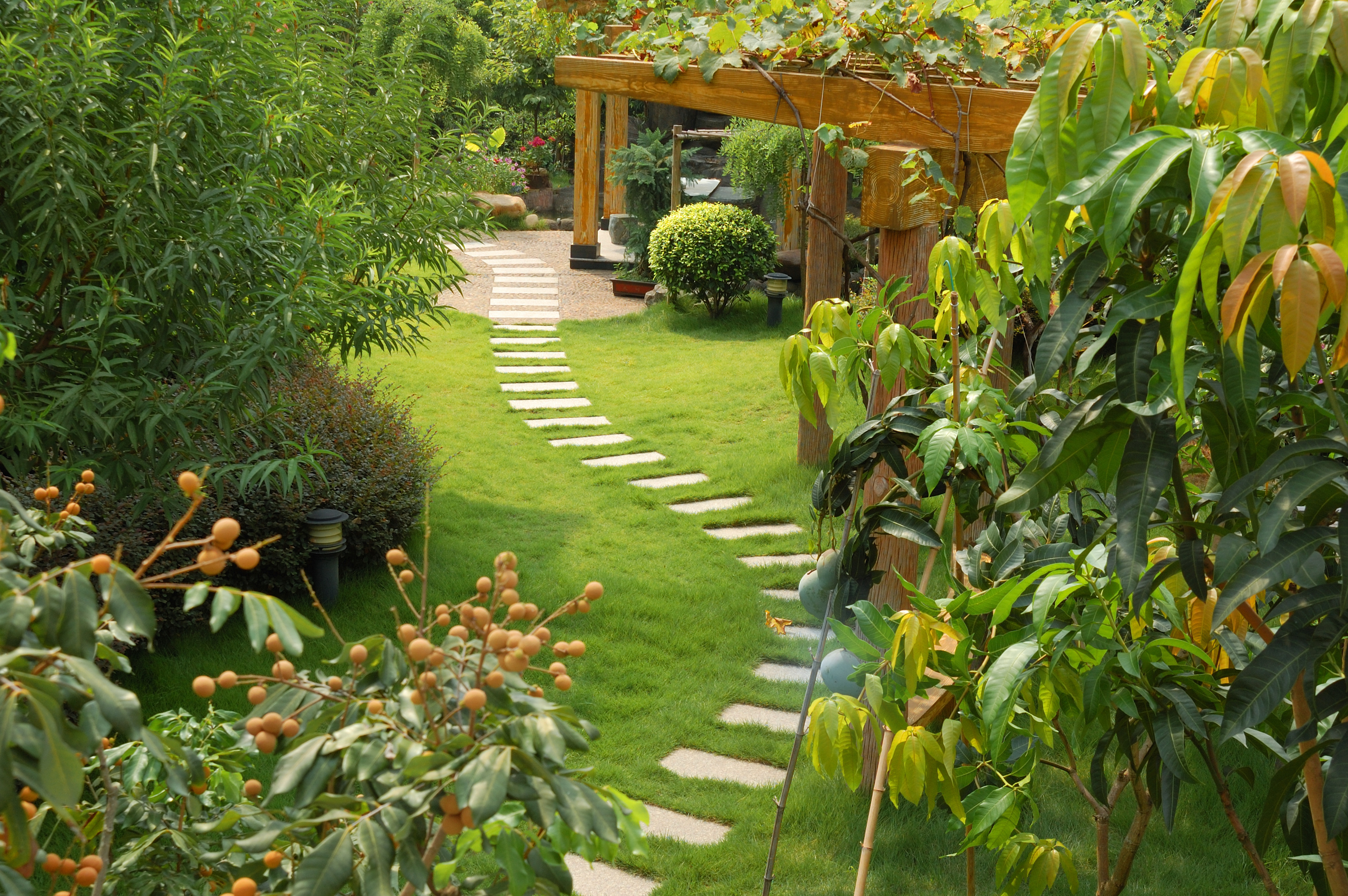 A stone walkway winding its way through a tranquil garden